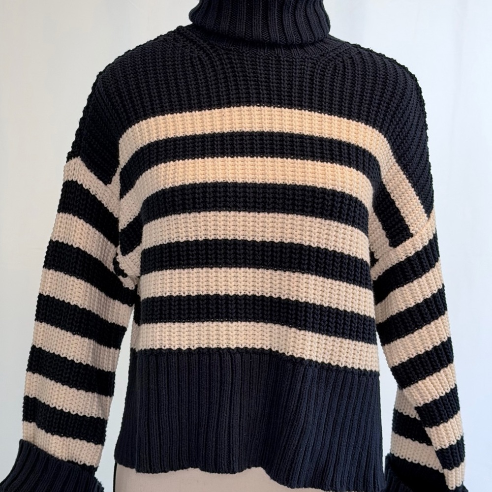 Turtleneck Striped Knit Sweater - Black and Cream